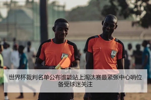 世界杯裁判名单公布谁能站上淘汰赛最紧张中心哨位备受球迷关注